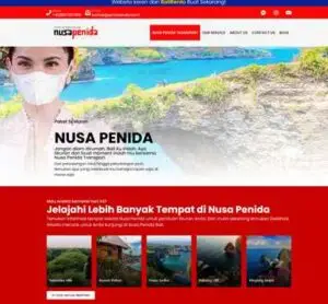 Jasa Pembuatan Website Nusa Penida Murah