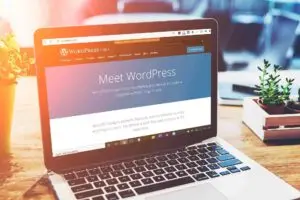 Amerthanadi Studios Mengenal Sejarah Wordpress Apa itu Wordpress Apa itu Wordpress bagaimana sejarah Wordpress Apa kelebihan dan kekurangan Wordpress